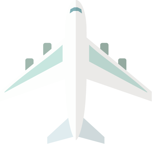 国内格安航空券